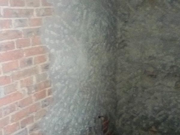 济南专业柠檬视频APP官网