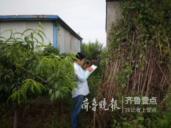 济南柠檬视频APP官网